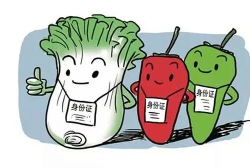 食品銷售中的溯源身份證 漲知識，一掃知身世